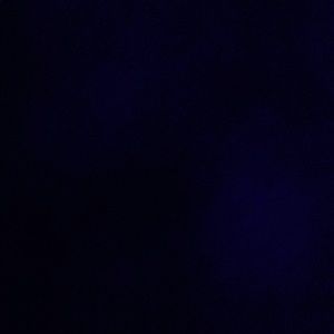 Meet your Posher, Dylan